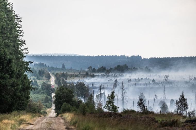 Incendie dans les Hautes Fagnes : Spadel mobilise un million pour la restauration et la résilience