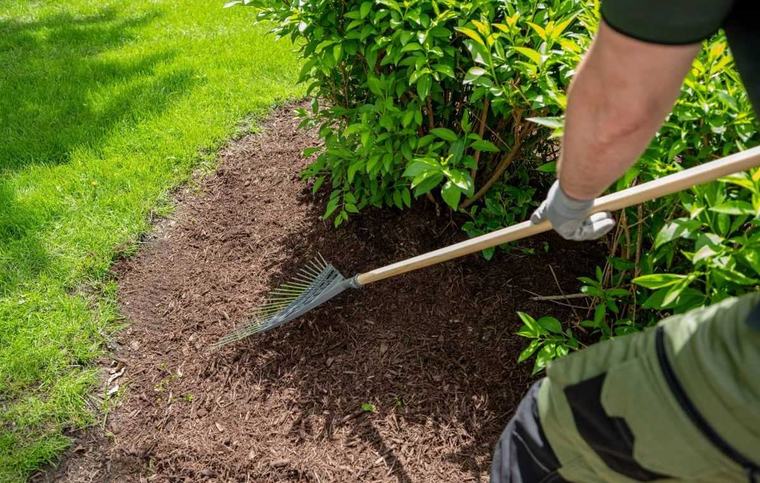 Meer planten zonder geld uit te geven? Deze tuintruc werkt in september