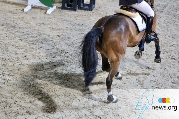 EQUTALK 18: "Het opleiden van paarden is ongelooflijk duur geworden..."