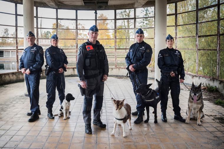 Affaire Tyméo : le rôle essentiel des chiens “restes humains” dans la découverte des corps à Onhaye