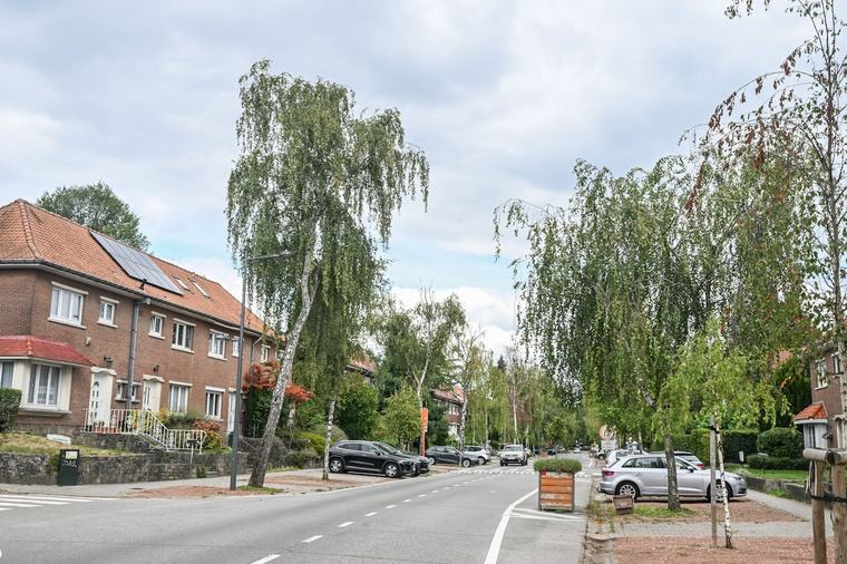 Pourquoi Woluwe-Saint-Lambert reste moins chère que Woluwe-Saint-Pierre ?