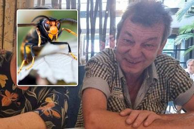 Eddy (60) overleden na aanval door Aziatische hoornaars